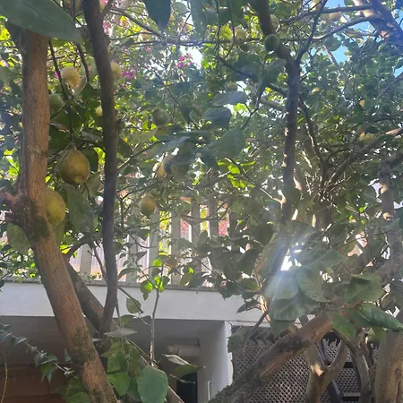 Дом отдыха El Limonero Комбарро