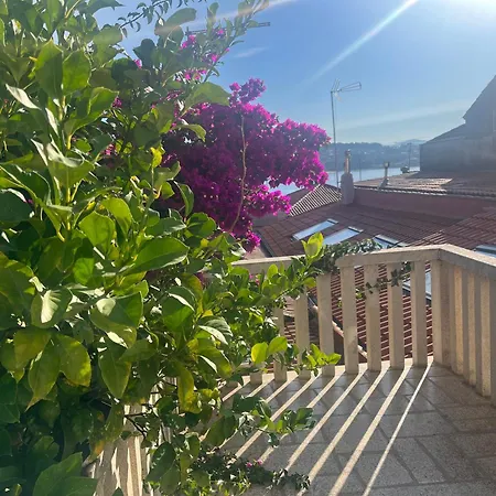 El Limonero Tatil Evi