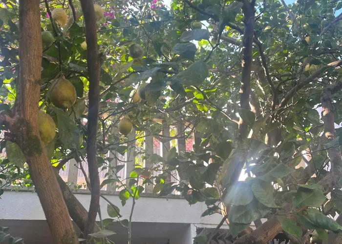 Σπίτι διακοπών El Limonero Combarro